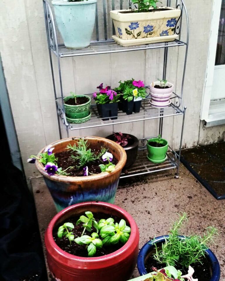 Lower Family Herb Garden