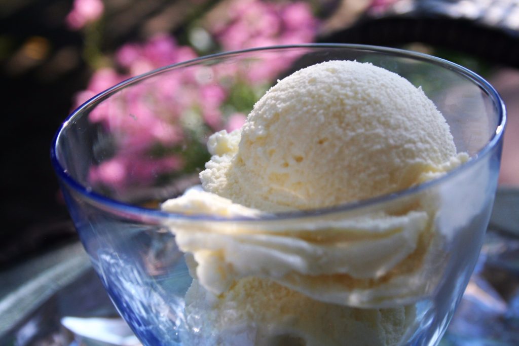 The Best Low Sodium Vanilla Ice Cream