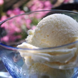 The Best Low Sodium Vanilla Ice Cream